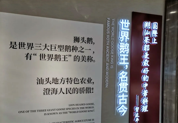 澄海獅頭鵝文化展廳