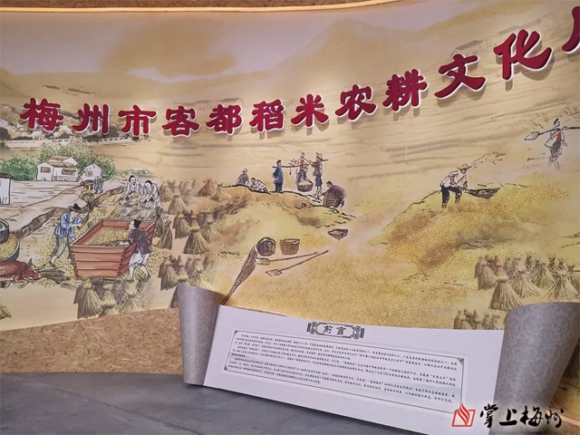 梅州市客都稻米農耕文化展廳，cr網絡