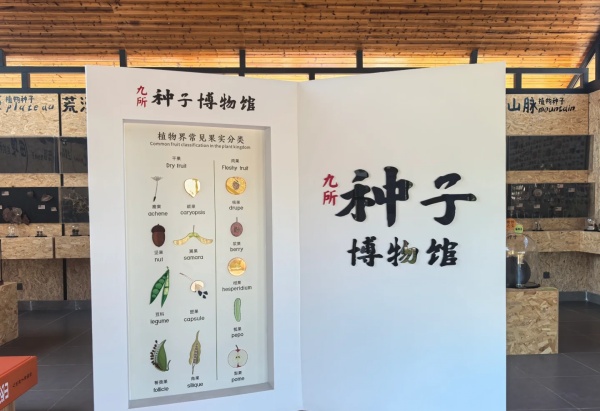 10個引人注目的博物館設計